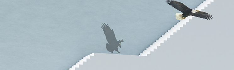 非凡娱乐官网-不凡成绩非凡,相信品牌的实力